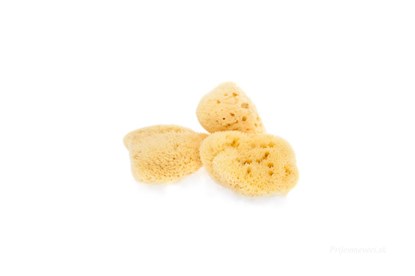 Obrázok pre výrobcu Morská hubka hodvábna - mini bielená