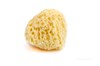 masáž morská huba prírodná hodvábna stredná bielená hubka špongia umývanie sprcha sprchy detská pokožka citlivá deti jemná mäkká honeycomb 