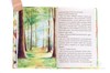 ako si vážiť životné prostredie ceruzka semiačka kniha pre deti bez odpadu nezábudka a divozel deti detská literatúra príroda