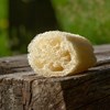 malá lufa lufy lufou ekologicka hubka na riad kompostovatelna masáž tela sprchy sprcha pokožka stlačená dlhá kúsky veľkosť zlisovaná umývanie umyť kuchyňa kuchyni riad masáž lufa umyvanie riadu ekologicka eko kompost 