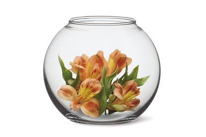 Obrázok pre výrobcu Sklenená váza Simax 