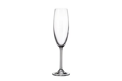 Obrázok pre výrobcu Set pohárov na šampanské COLIBRI - 220ml