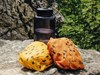 Včelobal L - turista - žltý