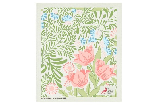 Hubka - pandora jazminovitá