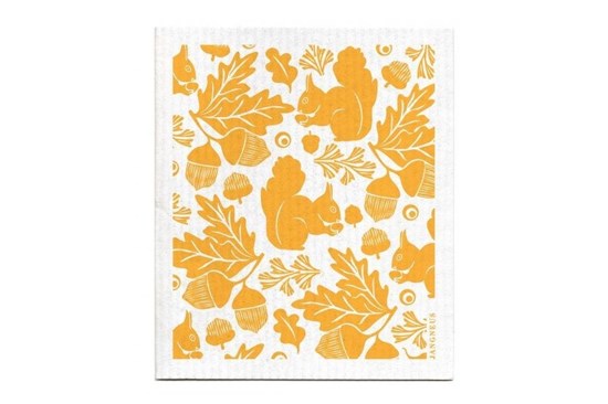 Hubka - veverička oranžová