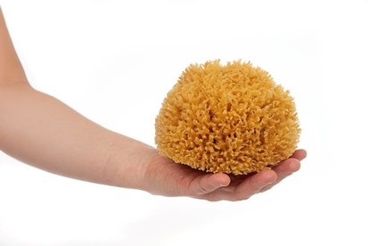 Obrázok pre výrobcu Morská huba tráva veľká - nebielená